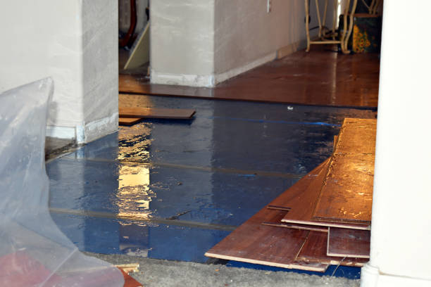 Professional Water Damage technician working in King, WI